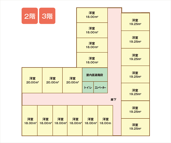 平面図